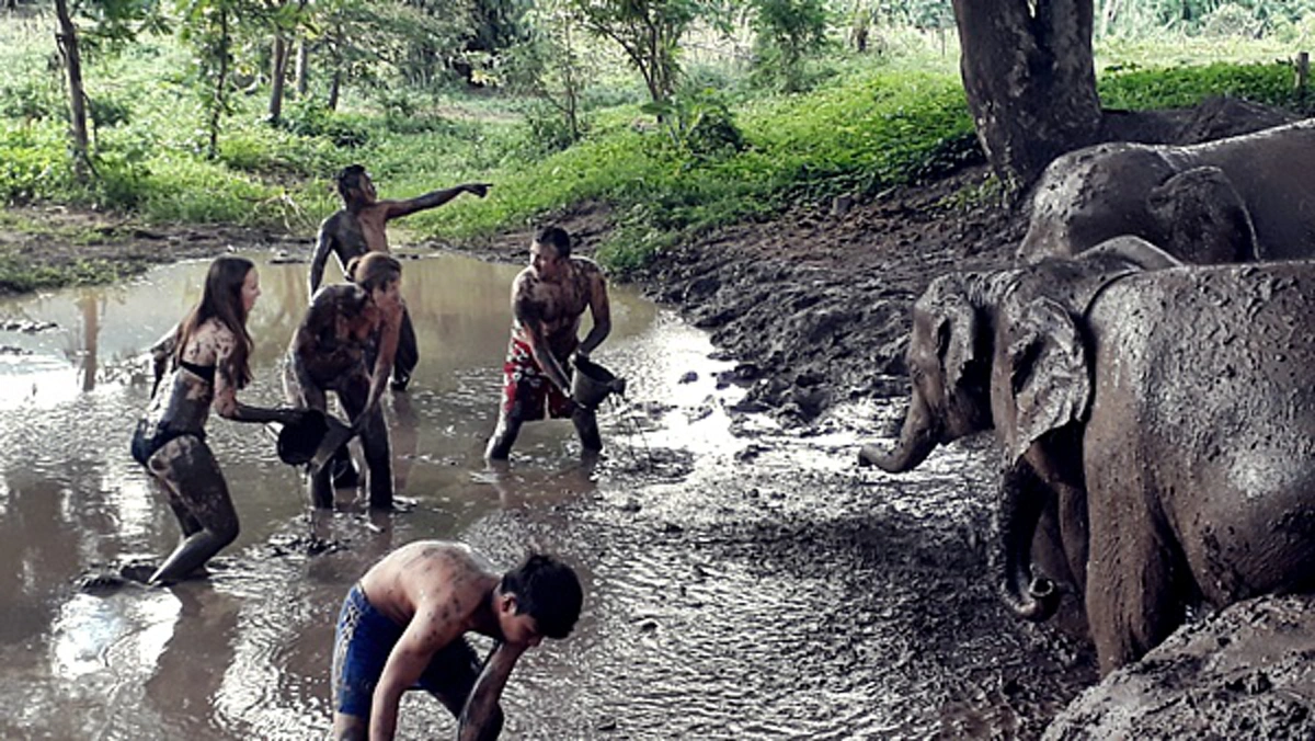 แชร์สนั่น..แลนมาร์คใหม่!! ฝรั่งไม่เคยเจอแบบนี้!!...ปางช้างเชียงใหม่เปิดอิสระนักท่องเที่ยวใกล้ชิดถึงเนื้อหนัง ลุยละเลงโคลน จำสภาพแทบไม่ได้??