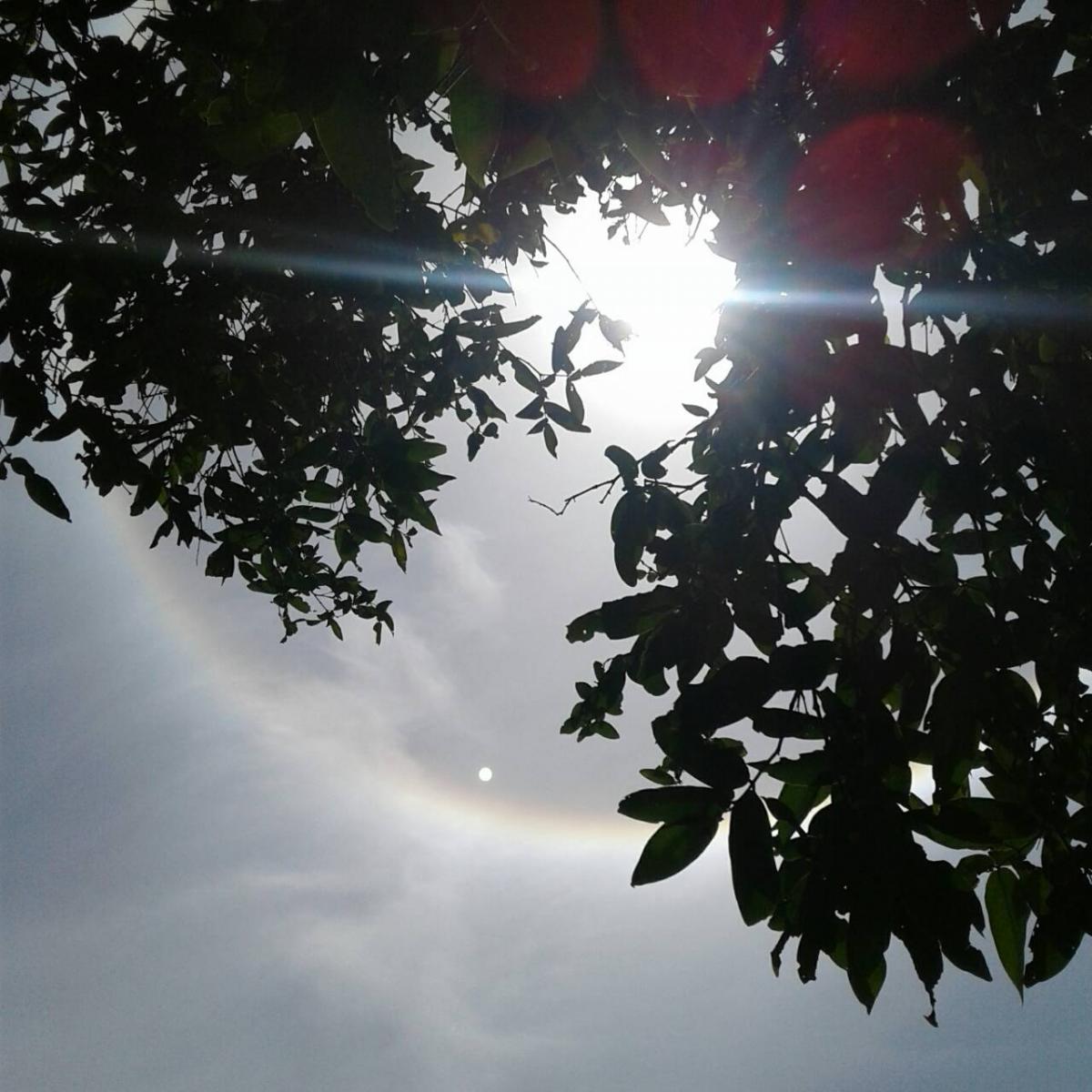 My Image 15