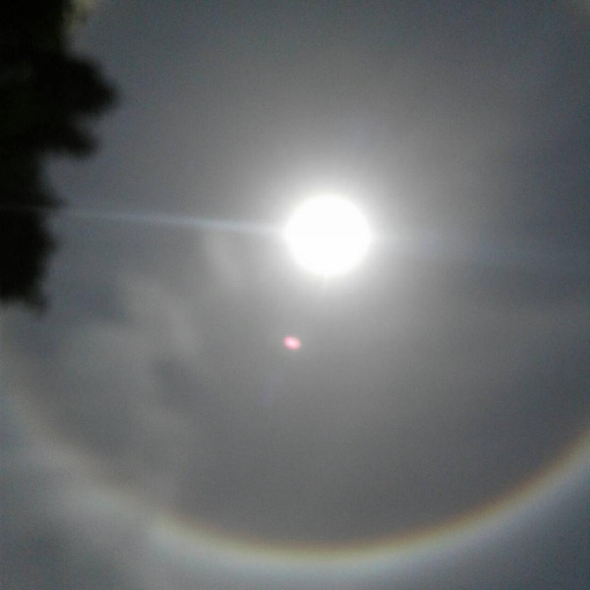 My Image 11