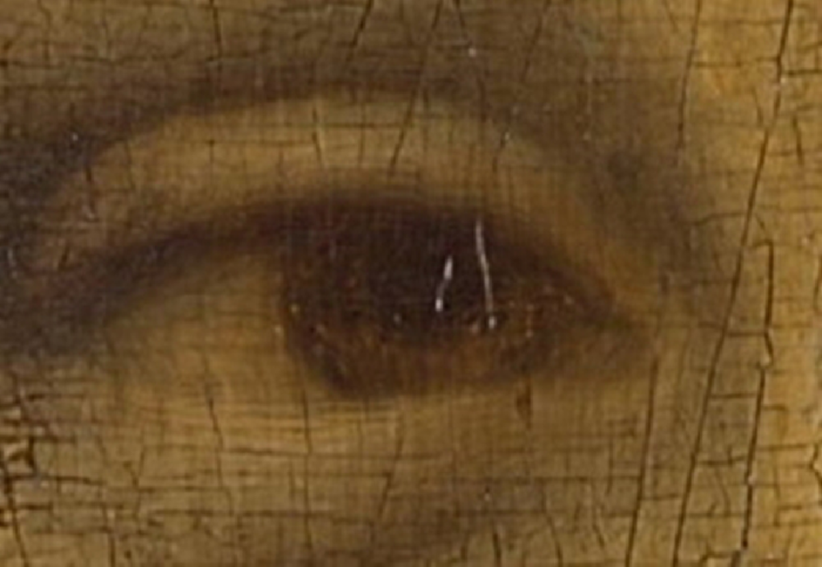 ดวงตาโมนา ลิซ่า