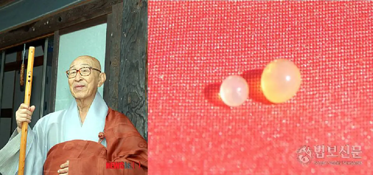 ได้เห็นเป็นบุญตา!! ปาฏิหาริย์แห่งพระพุทธศาสนารวมภาพ พระธาตุ พระอริยะสายมหายาน ปรากฏการณ์อัศจรรย์เหนือธรรมชาติ!