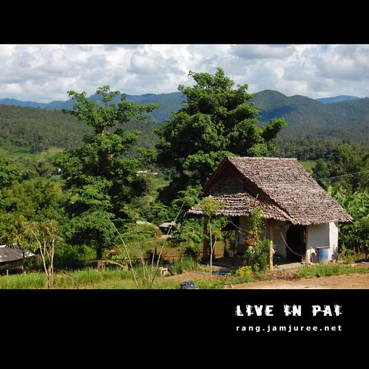 ไอเดียโคตรบรรเจิด!!สามคนพี่น้อง ช่วยกันสร้างกระท่อมไม้ไผ่ไว้อยู่เองหลังเล็กๆ แต่แข็งแรง อยู่ได้ถาวร..พอได้เห็นข้างในแทบตาค้าง มันสุดยอดจริงๆ