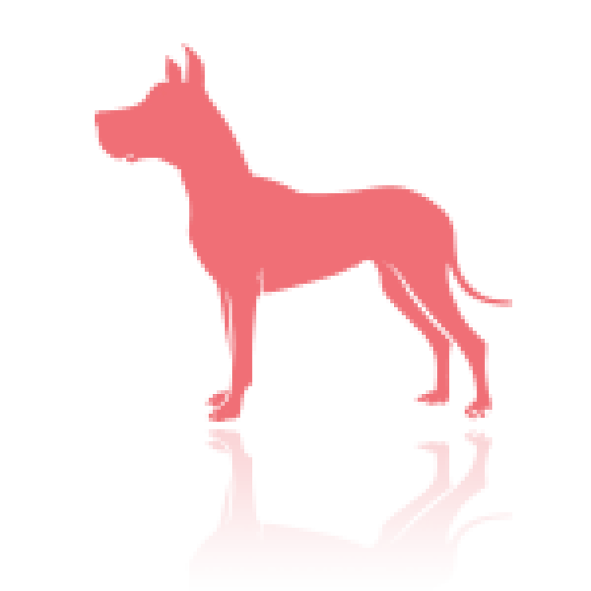 เช็คด่วน  12 ปีนักษัตร  บอกนิสัย เเบบลึกๆของคน บอกเลยโคตรตรง อ่านแล้วอย่าลืมแชร์นะ!!