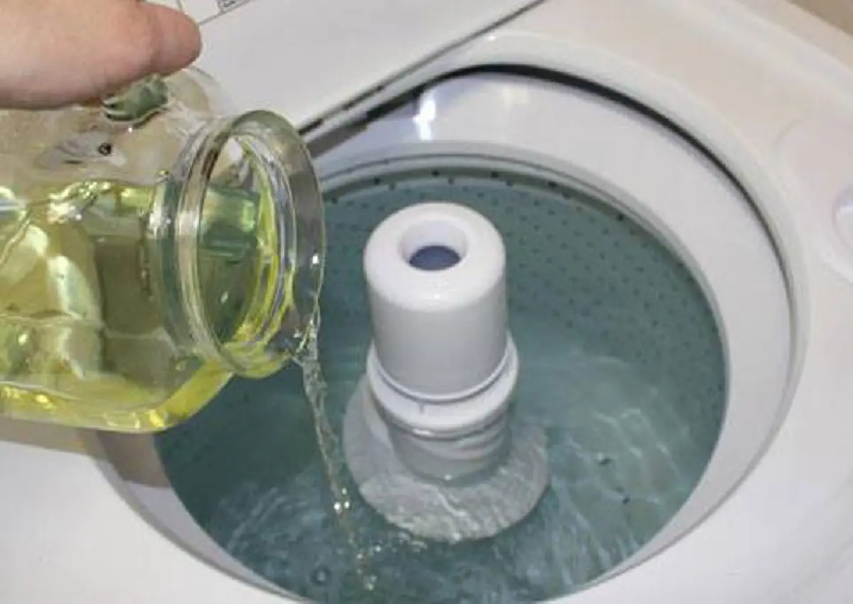 ทำด่วน! วิธีล้างเครื่องซักผ้า "แบบมืออาชีพ" แหล่งรวมเชื้อโรค อาจก่อให้เกิดโรคภูมิแพ้ผิวหนัง