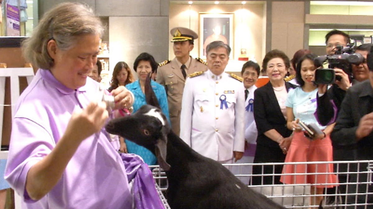 ป้าช้าง ผู้ชื่นชอบเพลง "เกลียดห้องเบอร์ ๕"ในรายการวิทยุ ๙๙.๑๐ MHz ที่แท้คือใคร รู้แล้วจะซึ้ง!!!