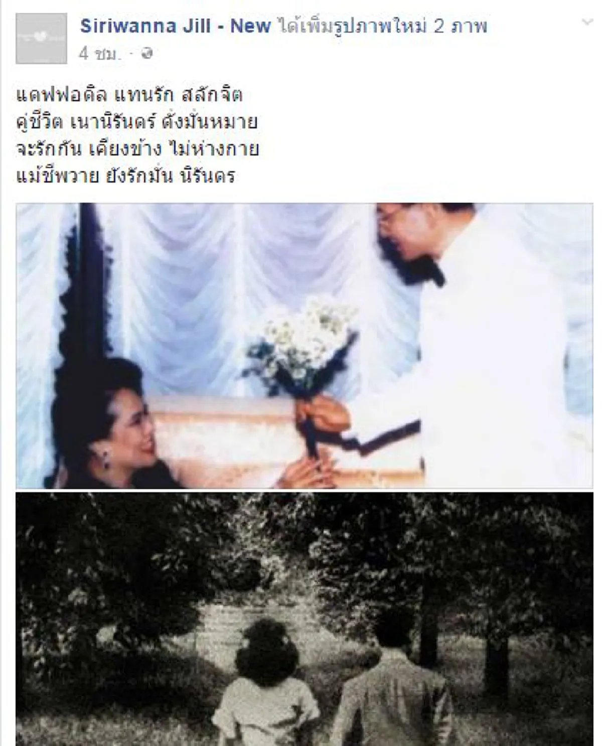 แม้ชีพวาย ยังรักมั่น นิรันดร.....เปิดความหมายสุดซาบซึ้ง"ดอกดารารัตน์" ต้นแบบของดอกไม้จันทน์ งานพระราชทานพระเพลิงพระบรมศพ ในหลวงร.๙