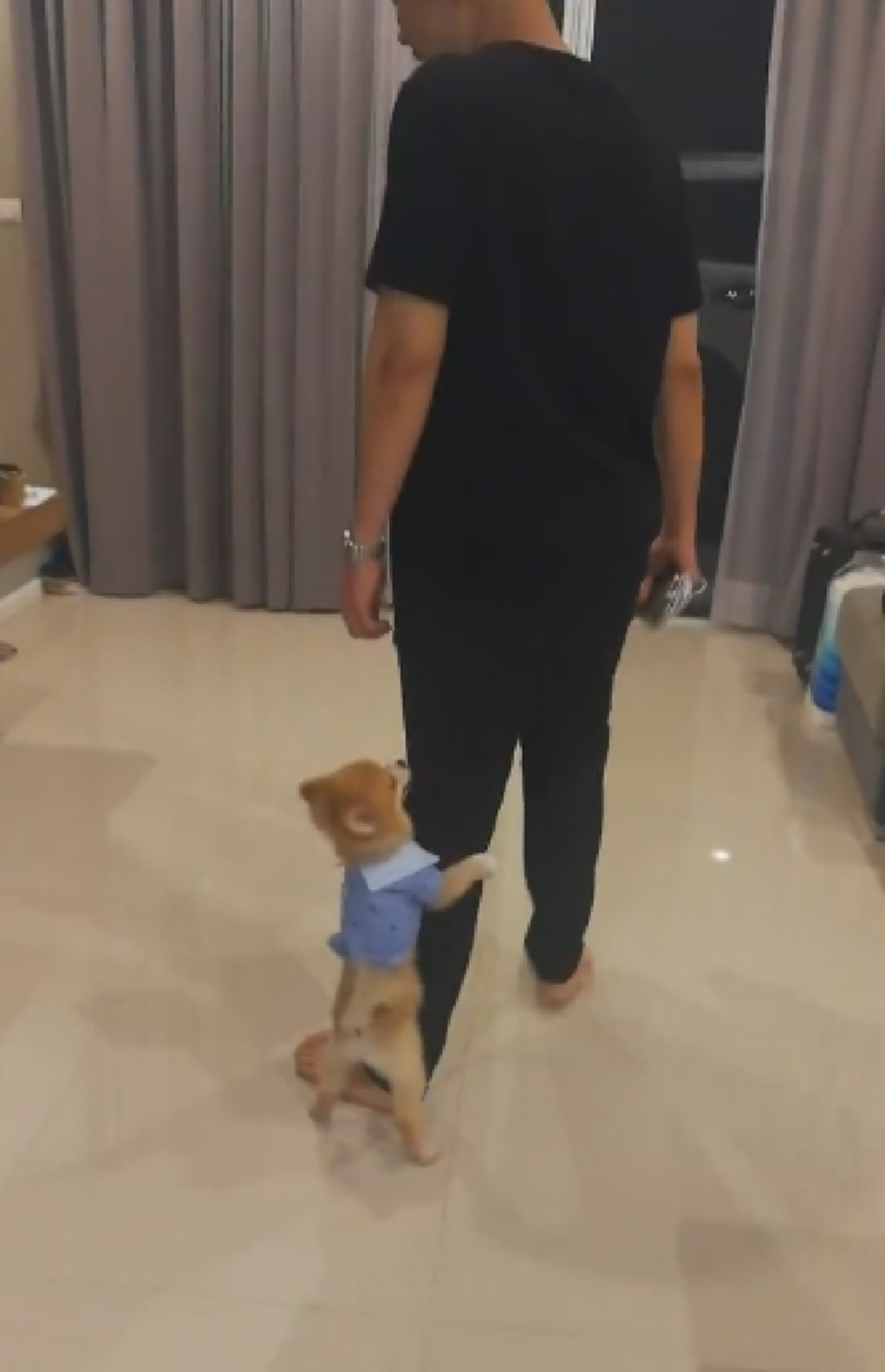 พ่อจ๋าหนูไม่ให้ไป!! "น้องหมา" กอดขาเจ้าของเอาไว้!? ไม่ให้ไปข้างนอก! ทำเอาคนดูถึงกับยิ้มไม่หุบ เอ็นดูในความน่ารัก!! (ชมคลิป)