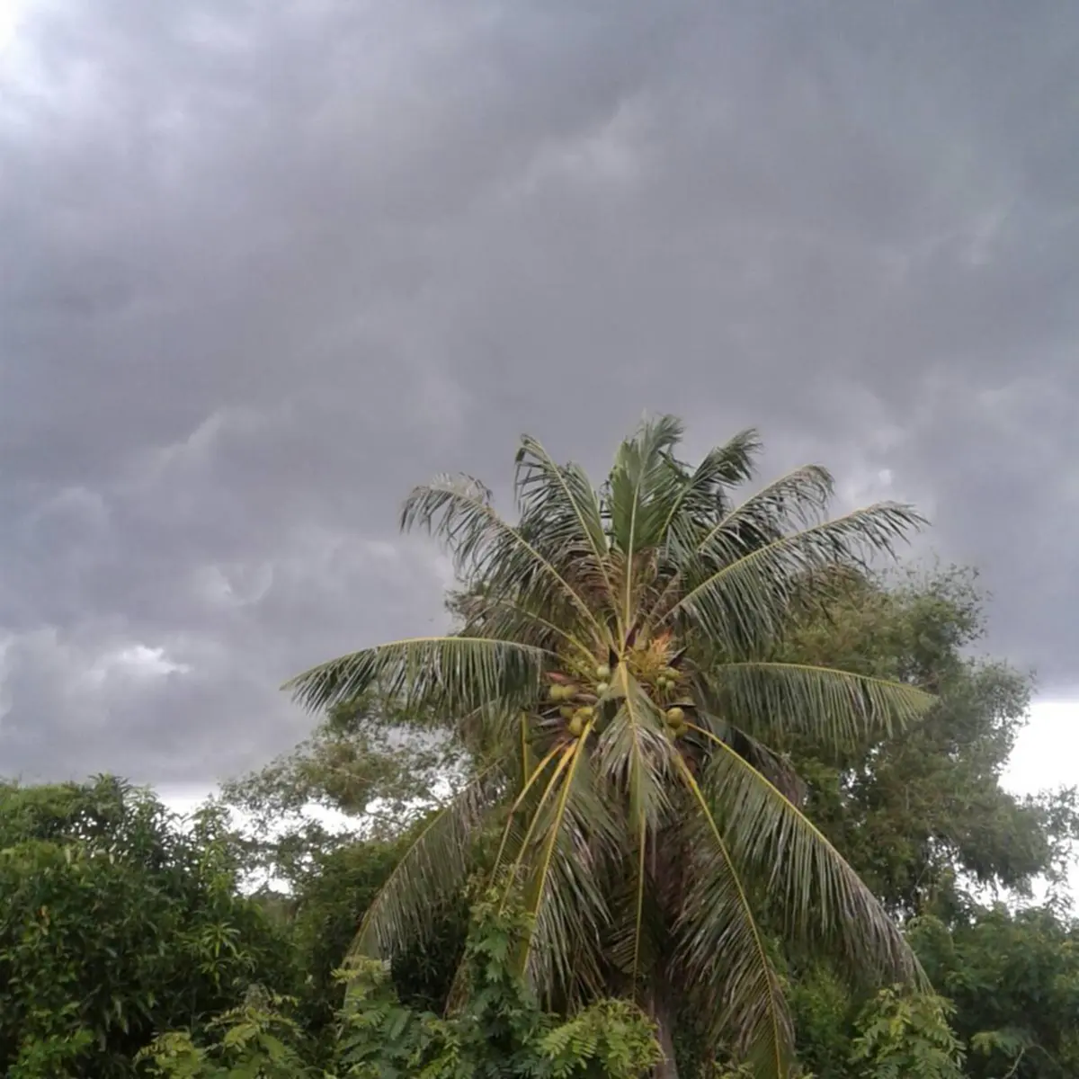 เย็นนี้ รีบหนีฝน...!!“กรมอุตุฯ” เตือน ค่ำนี้ ฝนตกหนักหลายพื้นที่ รวมกรุงเทพฯ และ ปริมณฑล ระวังอันตรายจากฝนตกหนัก และฝนตกสะสม(รายละเอียด)