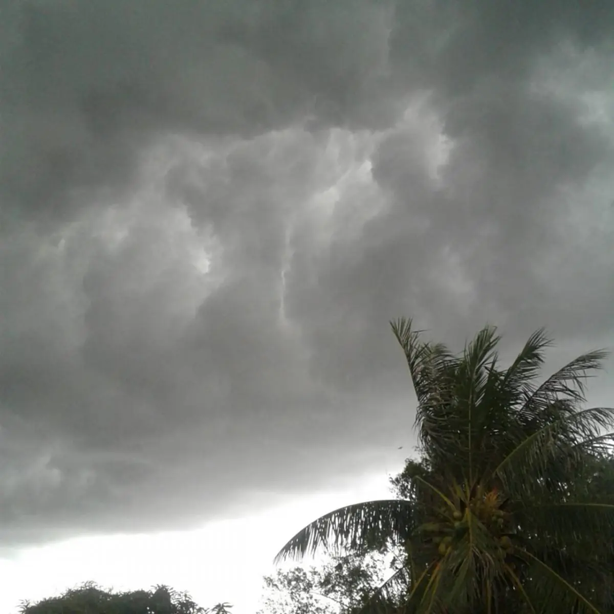 รู้หรือยัง?? 25-27 ส.ค. นี้ กรมอุตุฯ เตือน 4 ภาค ต่อไปนี้  ระวังอันตรายจากฝนตกหนัก ด้านพายุโซนร้อนฮาโตะ เคลื่อนตัวขึ้นฝั่งแล้ว (รายละเอียด)