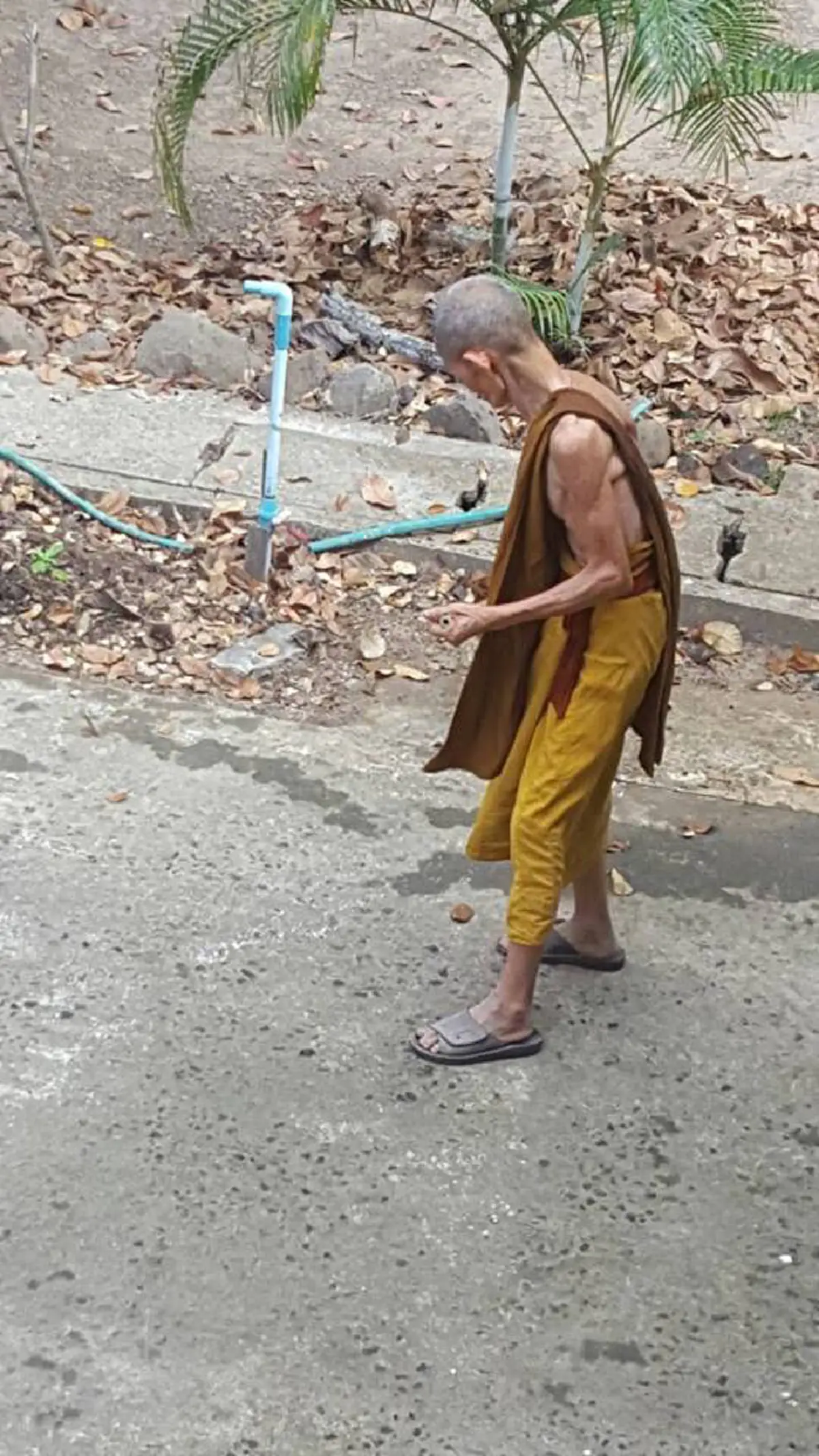 หลวงปู่เหลือง ยอดพระผู้สมถะ ทุกหยาดเหงื่อเพื่อวัด ไม่หลงในลาภยศ