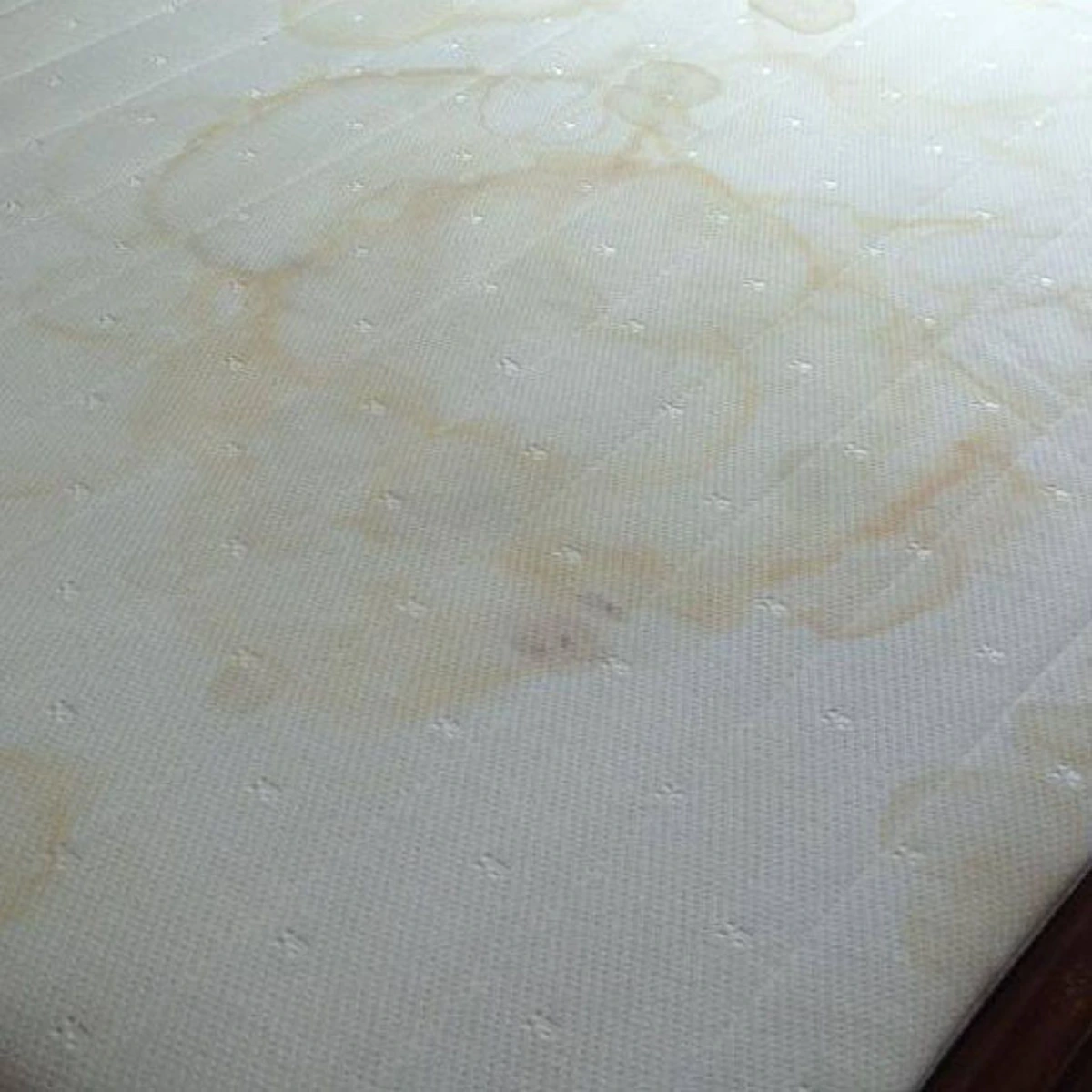 หามานาน!! วิธีกำจัดคราบและกลิ่นฉี่บนที่นอน ด้วยวิธีง่ายๆ คืนความขาวใหม่ให้กลับมาอีกครั้ง !!!