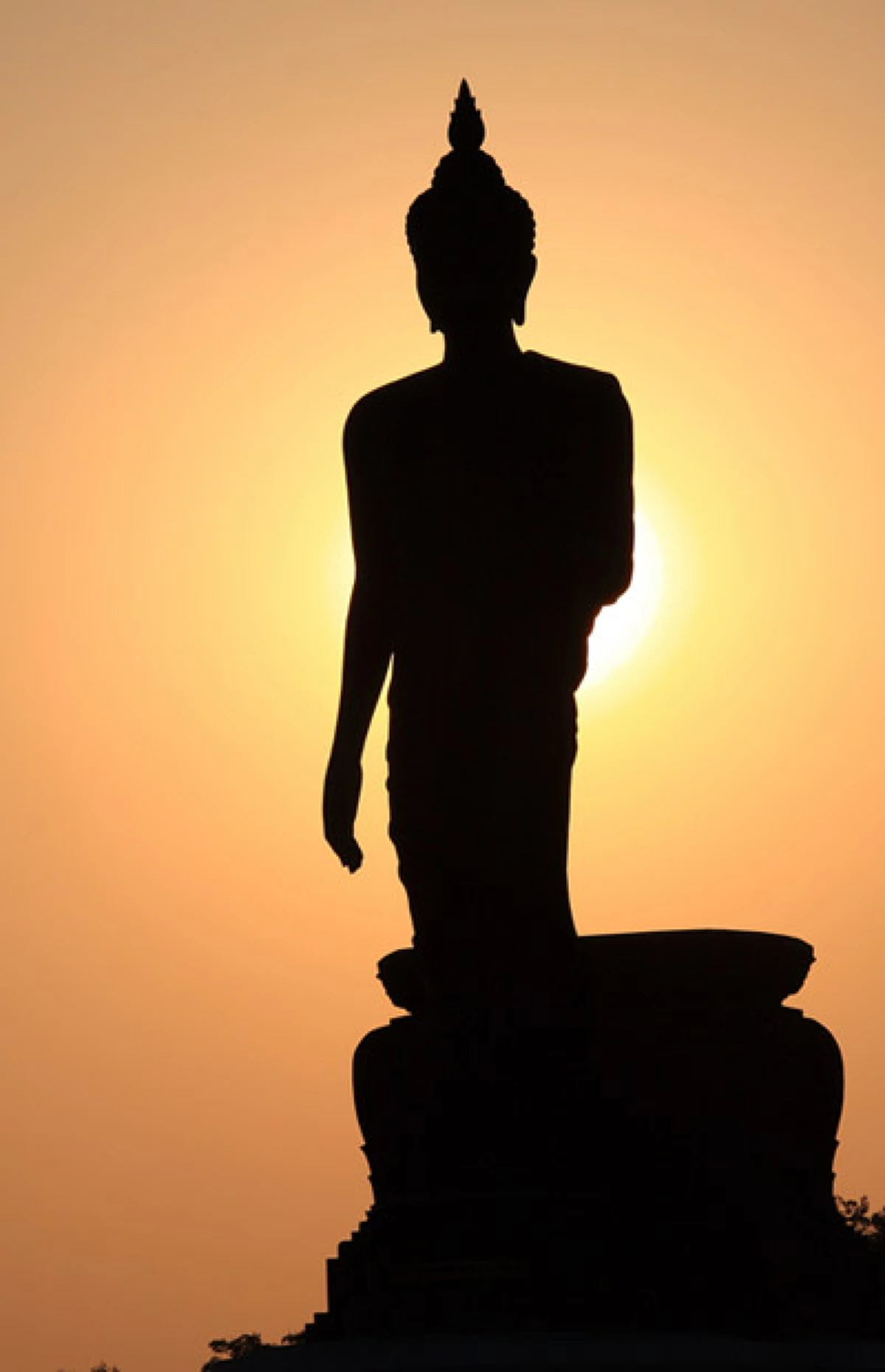 ตำนานอาสาฬหปุรณมีดิถี!! วันประกาศ "ศาสนาพุทธ" ครั้งแรกในโลก พระพุทธเจ้าหมุนวงล้อพระธรรม..เกิดขึ้นเป็นพระธรรมจักร สัญลักษณ์แห่งพระพุทธศาสนา