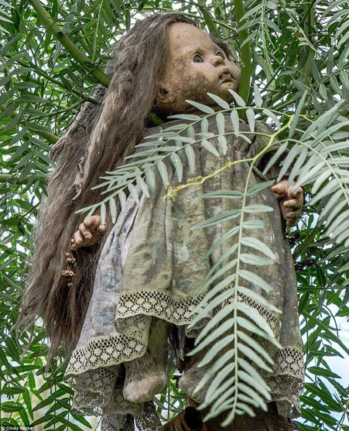 เปิดประวัติ...สุดขนหัวลุก เกาะที่สยองที่สุดในโลก "เกาะตุ๊กตาผีสิง" !!! รวมภาพบรรยากาศสุดหลอน ที่จะทำให้คุณอยากสัมผัส !!! #มีคลิป