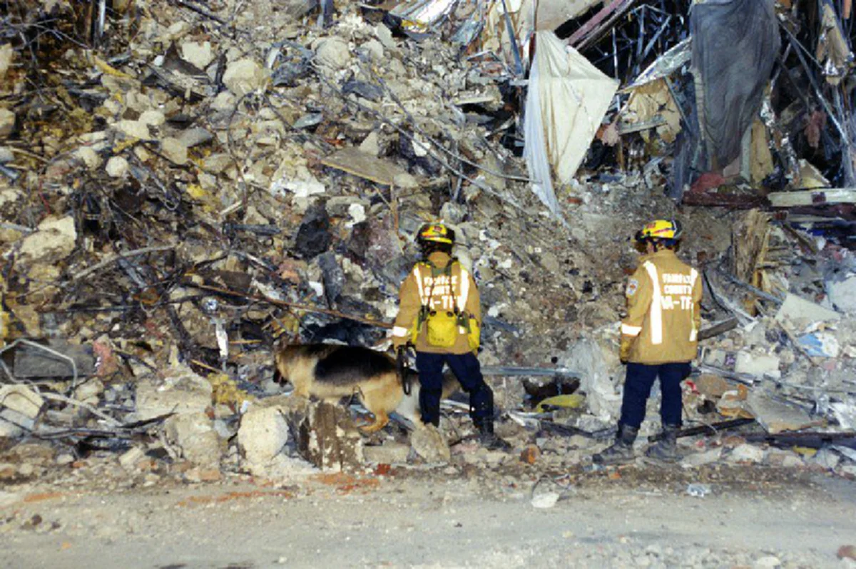 ภาพหลุด!!! ประมวลภาพที่ถูกปกปิดมานาน  #เหตุการณ์ 9/11  วินาศกรรมตึกเวิร์ลเทรด  ใครที่ยังไม่เคยเห็น..ดูซะ (ภาพเยอะมาก)