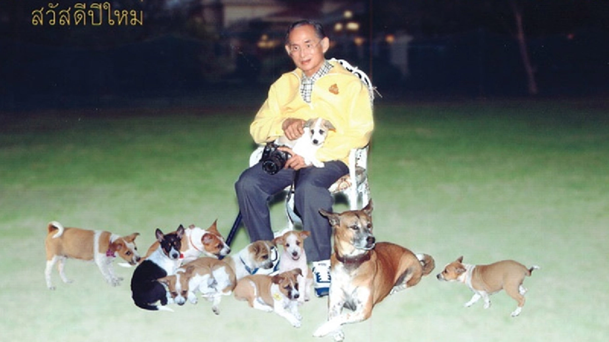 ชื่อที่ทรงพระราชทานแก่ตระกูลสุวรรณชาด เพื่อให้แก่ลูกคุณทองแดงกับคุณทองแท้ มาจากอัจฉริยภาพทางภาษาของในหลวงรัชกาลที่ ๙กับขนมไทย