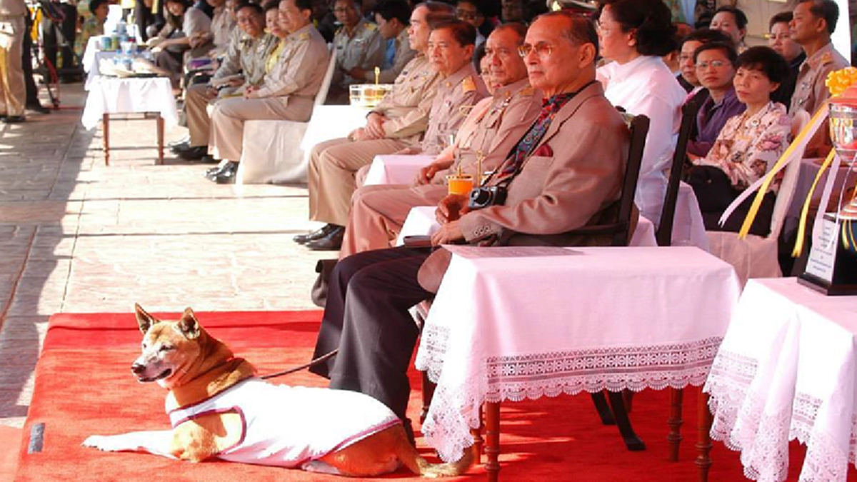 "รายนามพระราชทานตระกูลสุวรรณชาดทายาทครอกที่๓ ของคุณทองแดงกับคุณทองแท้" ที่ทรงพระเมตตาจากในหลวงรัชกาลที่ ๙