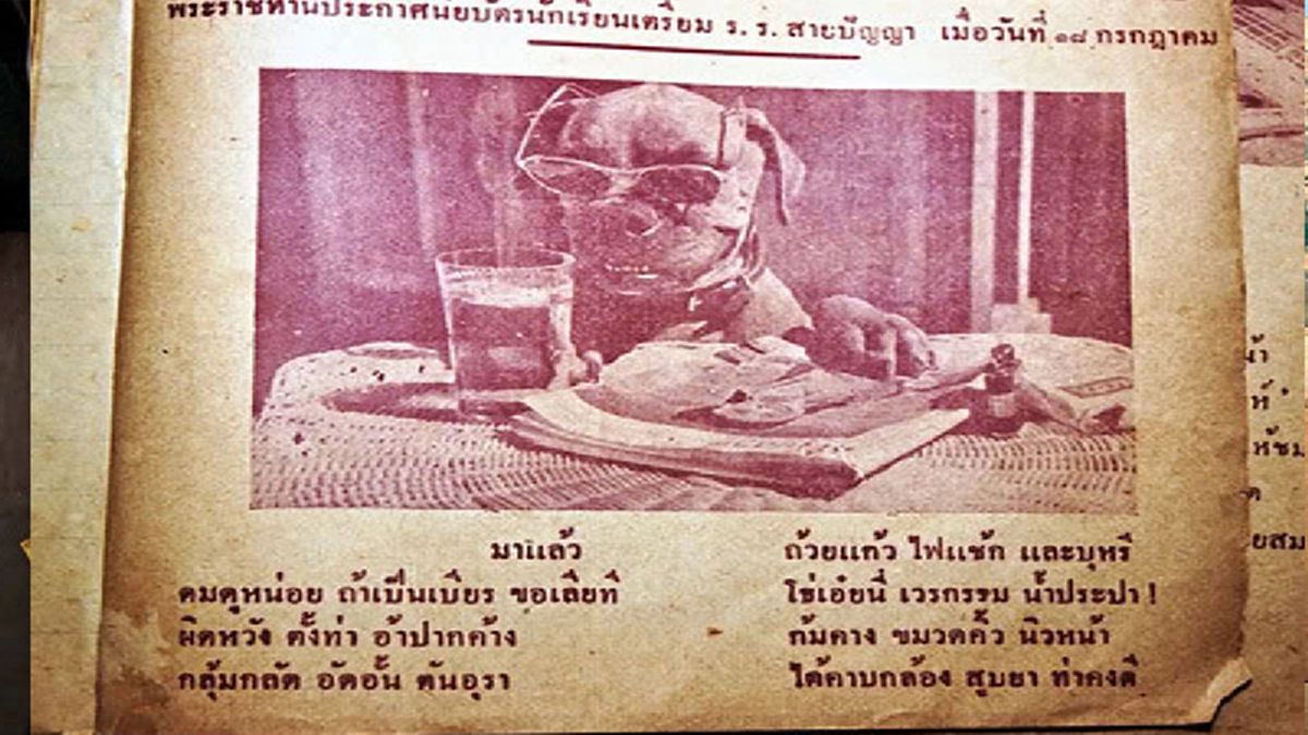 “คุณโจโฉ” สุนัขทรงเลี้ยงในอดีตของในหลวง ร. ๙ ต้นแบบประติมากรรมประดับพระเมรุมาศฯชิ้นใหม่เพิ่มเติมจาก ”คุณทองแดง”