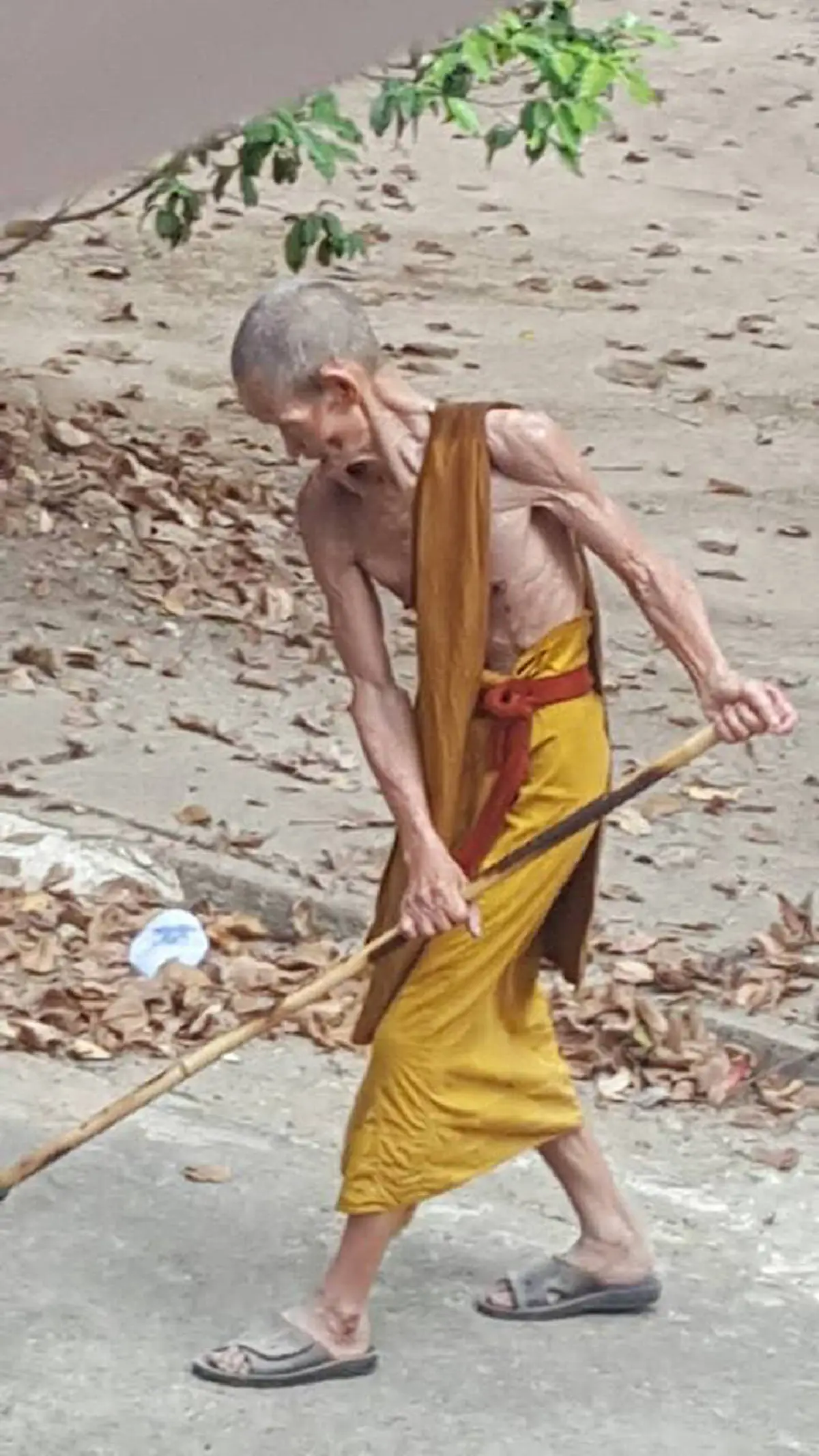 หยาดเหงื่อพระผู้เฒ่า..“หลวงปู่เหลือง ฉันทาคโม” อริยสงฆ์สายหลวงปู่มั่น ลงมือกวาดลานวัดด้วยตัวเอง หลังจากพิธีอายุวัฒนมงคลครบ 90 ปี !!