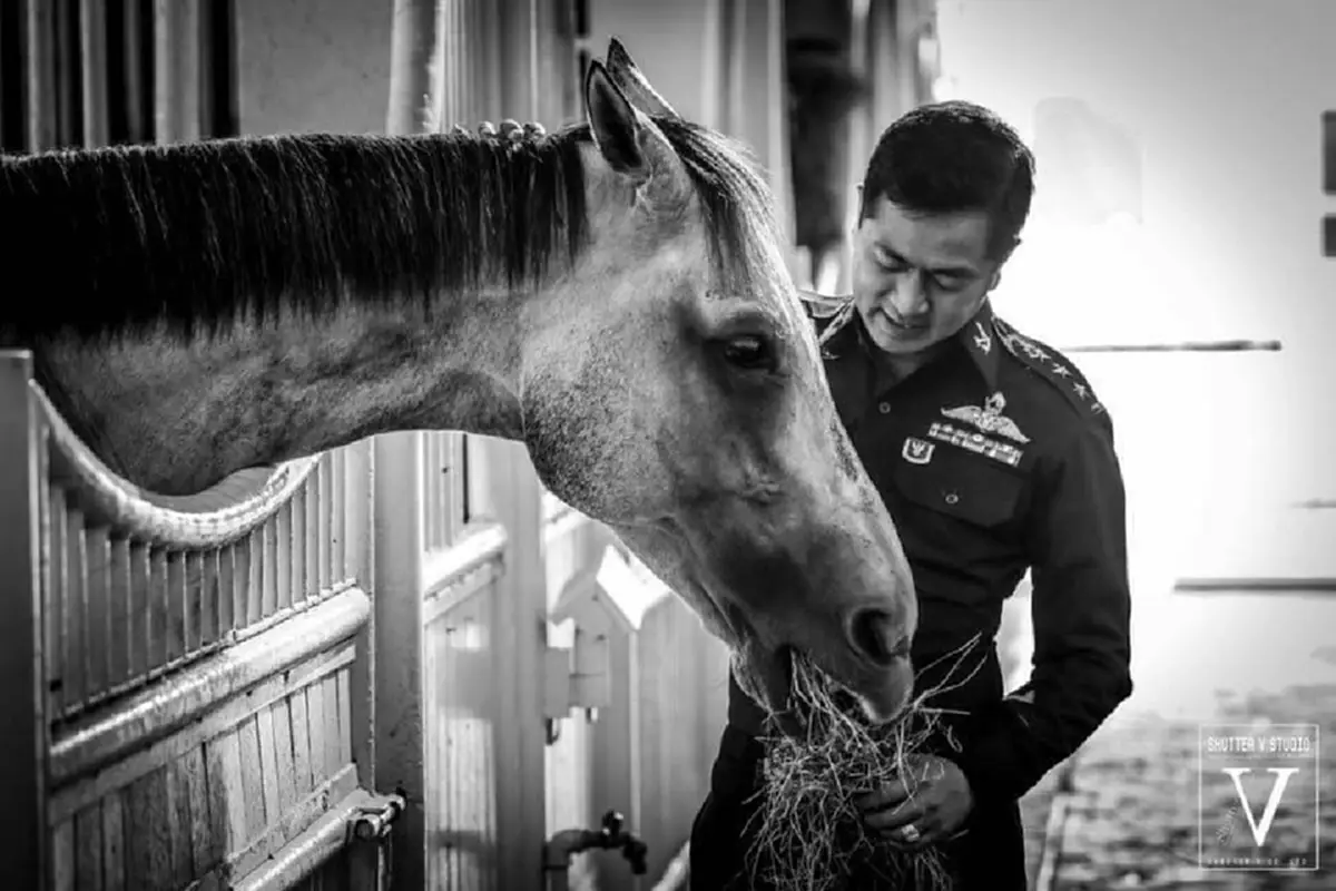 เปิดประวัติสุภาพบุรุษอาชาไนย "พ.อ.วิทัย ลายถมยา"ผู้อยู่เบื้องหลังเหรียญเงิน ซีเกมส์ครั้งที่ 29 ในการแข่งขันกีฬาขี่ม้าประเภทศิลปะการบังคับม้า