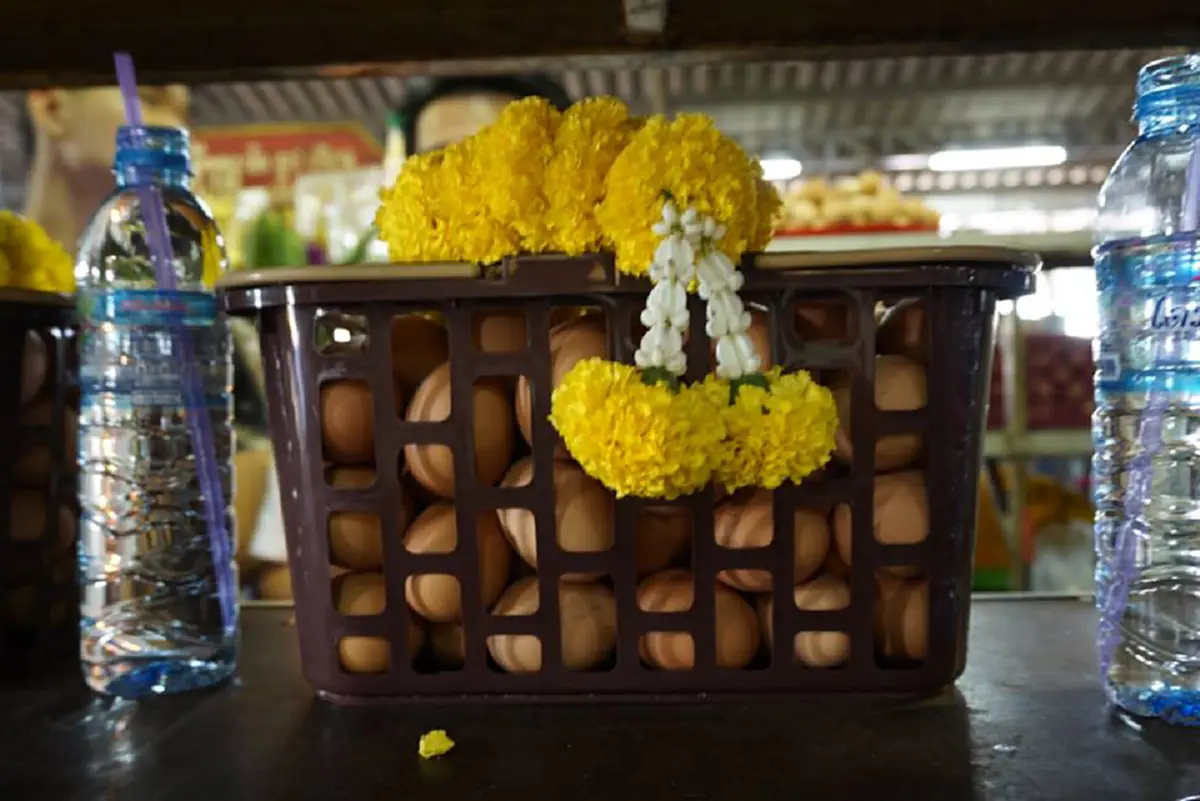 ว่ากันว่าท่าน..ชอบไข่ต้ม " หลวงพ่อโสธร " นิยมแก้บนกันด้วยไข่ต้ม บนบานได้ทุกเรื่อง ยกเว้น เรื่องทหารกับขอบุตร..ห้ามบนเด็ดขาด.