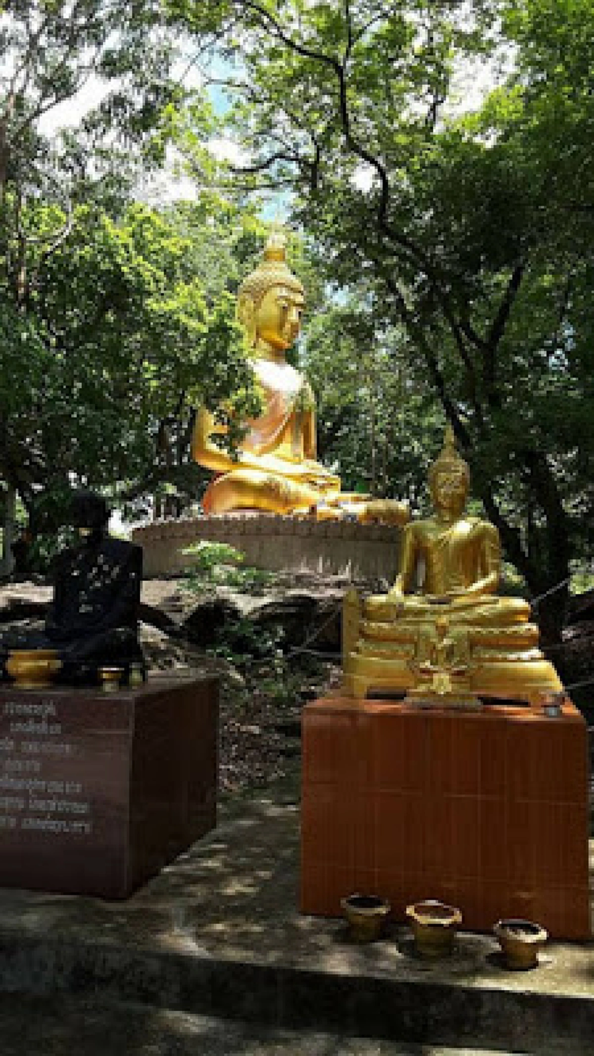 ประตูสู่เมืองบาดาล!! " ถ้ำมืด "กลางป่า ลอดฝั่งไทยโผล่ฝั่งลาว เส้นทางลี้ลับเชื่อมต่อ "เมืองมนุษย์-เมืองบาดาล" ประตูสู่ "วังพญานาคราช" (ชมภาพ)