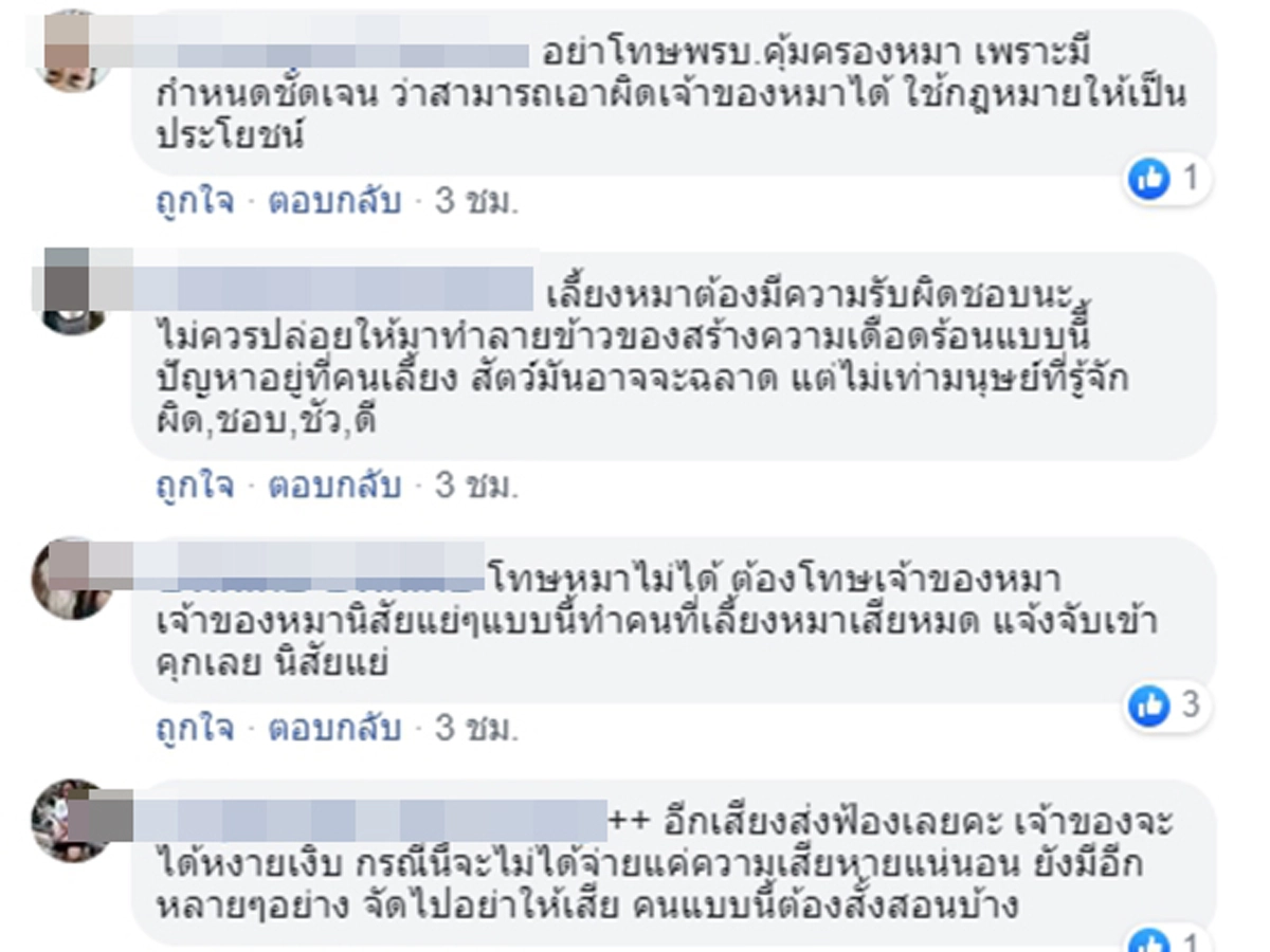 สาวเดือด หมาทำรถเละ บังโคนข้างยับ เจ้าของปัดความรับผิดชอบ ให้ไปเอาเรื่องกับหมา (คลิป)