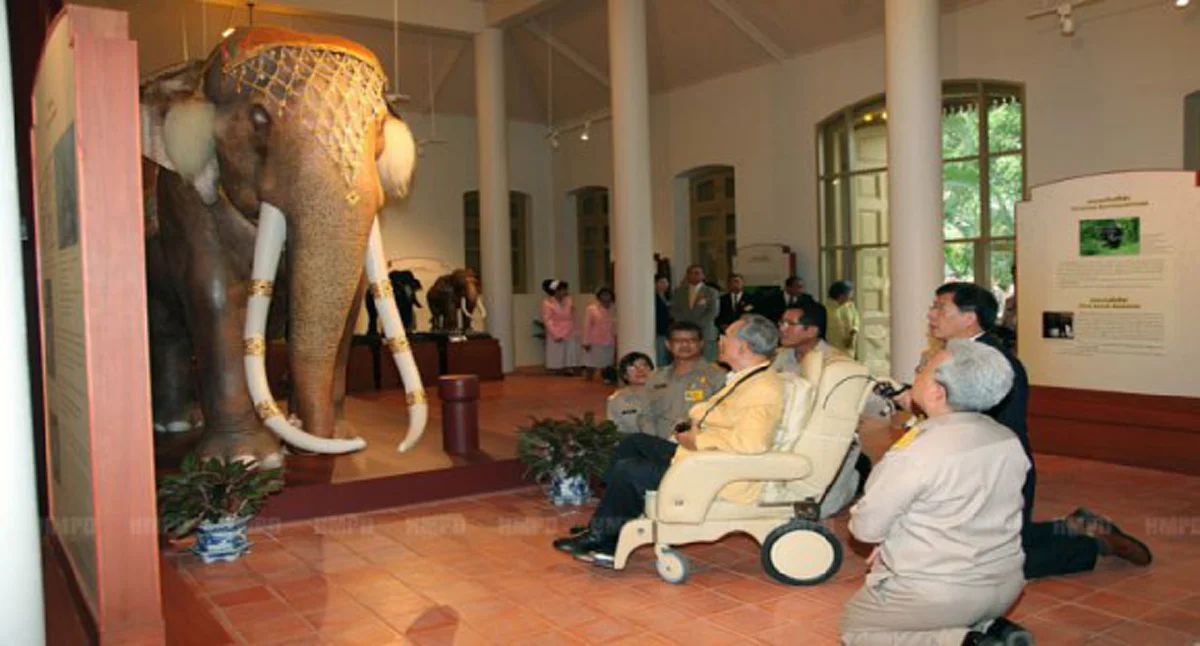 “พระเศวตอดุลยเดชพาหนะฯ” ช้างเผือกคู่พระบารมี รัชกาลที่๙ กับเรื่องราวที่น่าอัศจรรย์ ที่หลายคนอาจจะยังไม่เคยรู้ (ชมคลิป)