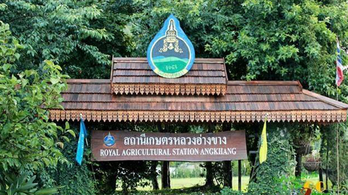 ชมเมฆหมอกลมหนาว เยือนถิ่นเผ่ายูนาน เลือกชิมอาหารธรรมชาติกว่า ๖๐ ชนิด ในโครงการราชดำริสถานีเกษตรหลวงอ่างขาง #ตามรอยพ่อหลวง ร.๙ 