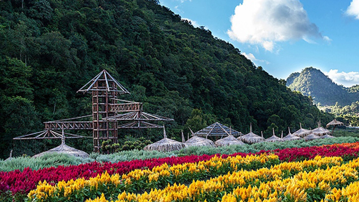 ชมเมฆหมอกลมหนาว เยือนถิ่นเผ่ายูนาน เลือกชิมอาหารธรรมชาติกว่า ๖๐ ชนิด ในโครงการราชดำริสถานีเกษตรหลวงอ่างขาง #ตามรอยพ่อหลวง ร.๙ 