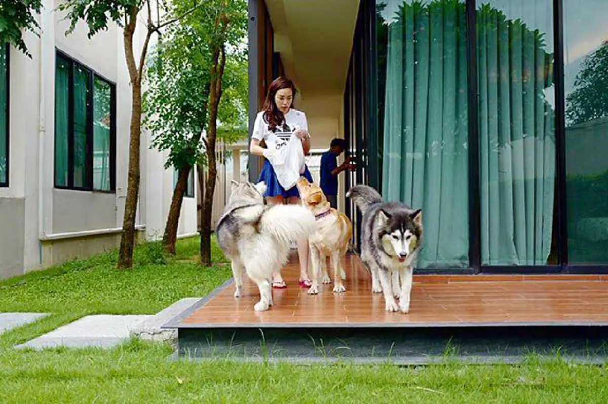 ส่องชัดๆ !! ทุกมุม ของบ้าน  “เมย์ พิชญ์นาฏ”   เรียบหรู ดูแพง สมฐานะตระกูลดัง?? 