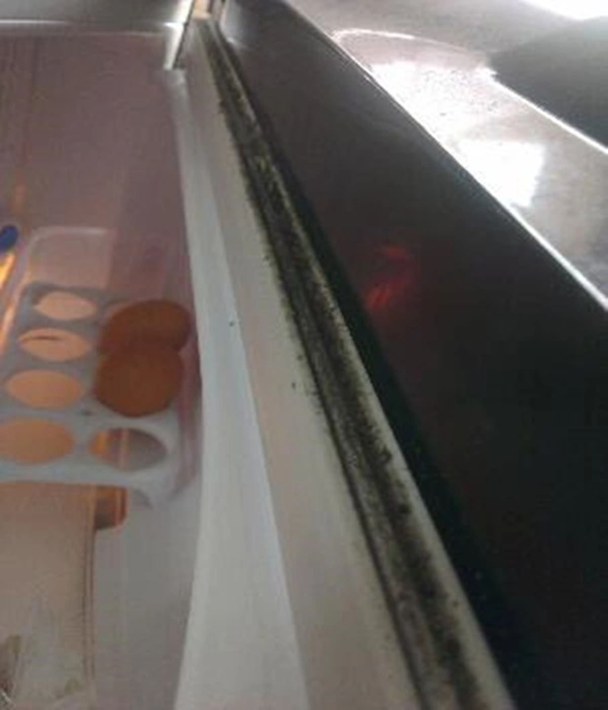 ลองอ่านแล้วทำดู!!! ขอบยางในตู้เย็น "ขึ้นรา" ล้างยังไงก็ไม่ออก จัดการได้ด้วยของใกล้ตัว เรื่องง่ายๆที่ใครก็ทำได้ รีบแชร์เก็บไว้เลย