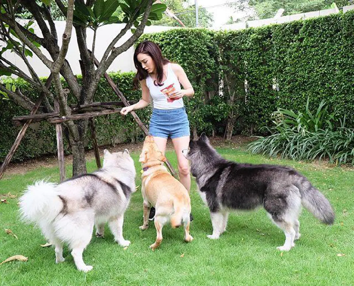 ส่องชัดๆ !! ทุกมุม ของบ้าน  “เมย์ พิชญ์นาฏ”   เรียบหรู ดูแพง สมฐานะตระกูลดัง?? 