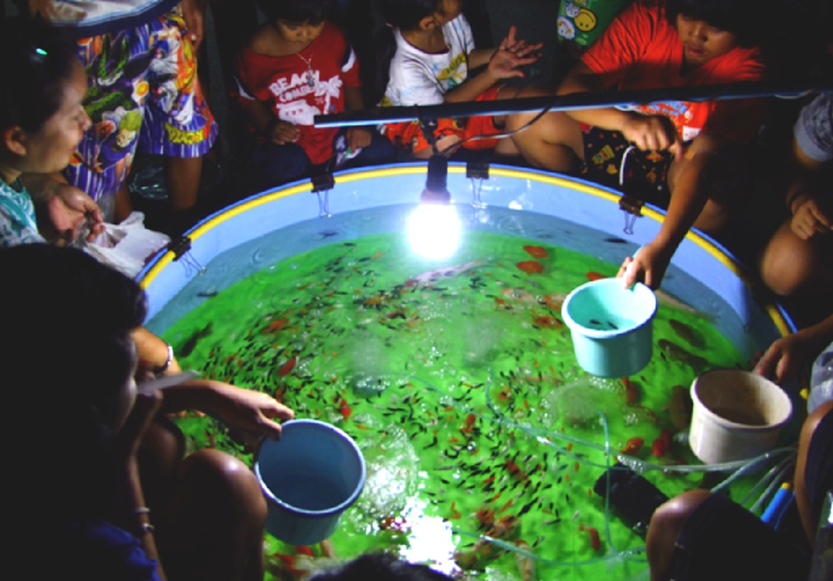 โคตรเทพเลยพี่!! ชาวเน็ตยกยอ "กระบี่มือหนึ่ง" วิธีตักปลางานวัดขั้นเทพ..บอกได้คำเดียวแม่ค้าสตั้นหนัก!!  ครั้งเดียวโคตรคุ้ม?? (ชมคลิป)