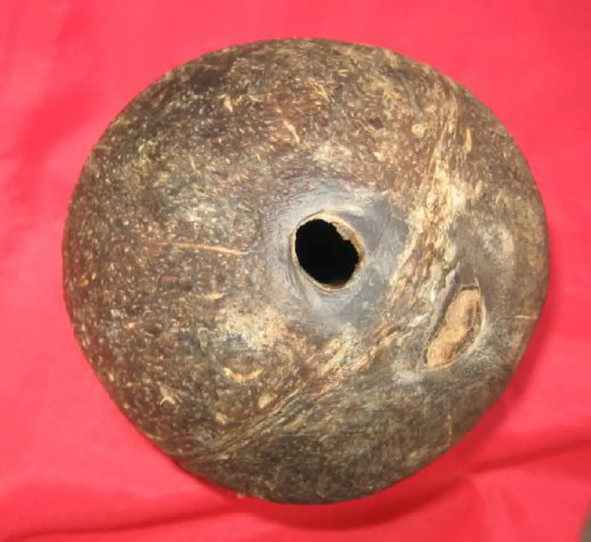 เอกะ จักขุ นาฬิเกลา..ของขลังที่ธรรมชาติให้มา "กะลาตาเดียว"นิยมมาแต่โบราณ เป็นมหาลาภค้าขายดีเยี่ยม มหาอุด กันอาถรรพ์ ดีนักแล.