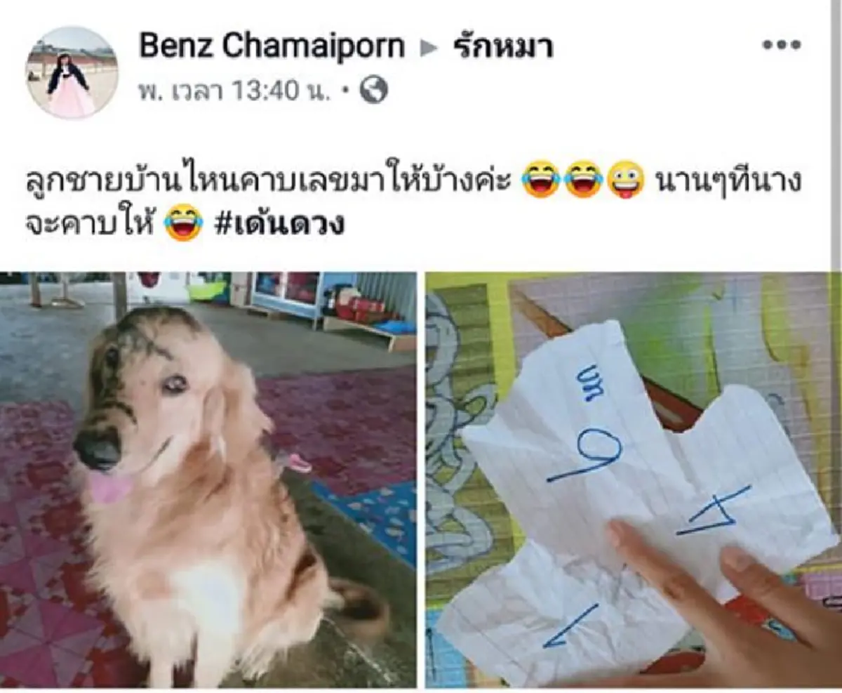 เจ้าตูบคาบเลขเด็ดบอกเจ้าของ ออกตรง 2 ตัวท้าย รับเงินเพียบ