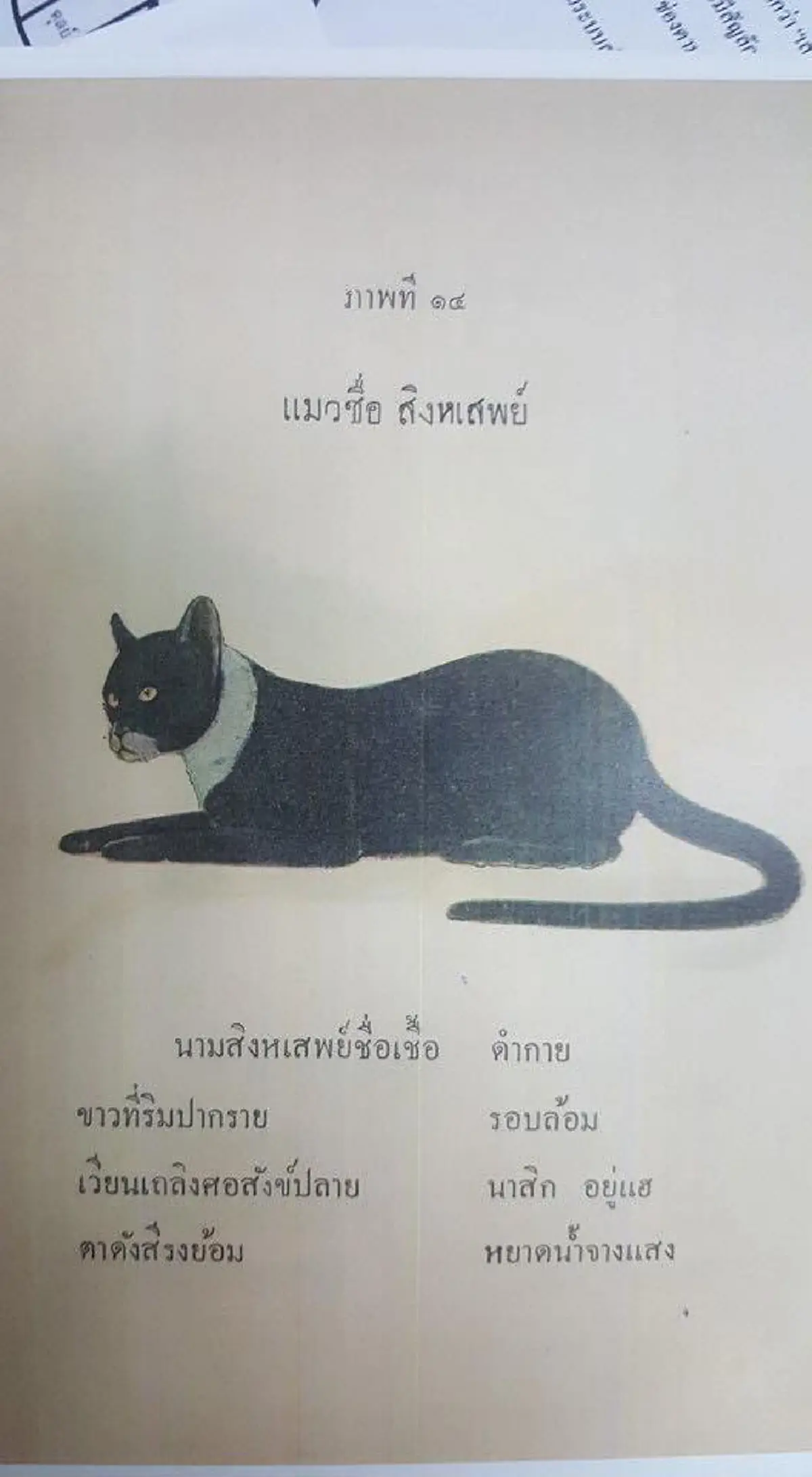 17 ลักษณะ แมวไทยมงคล จาก ตำราโบราณ