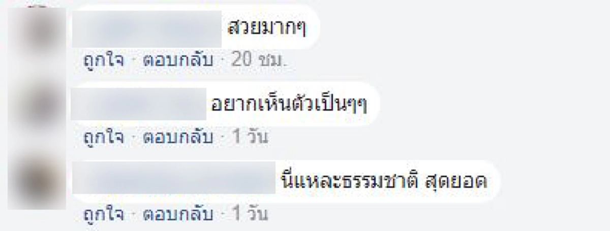 แม่เจ้าโว้ย...เชื่องอะไรเบอร์นี้ !!?? ยักษ์ใหญ่ขี้เล่นโผล่ทักทายชาวประมง ชาวเน็ตฮือฮาเชื่องกว่าภรรยาตรูอีก! (คลิป)