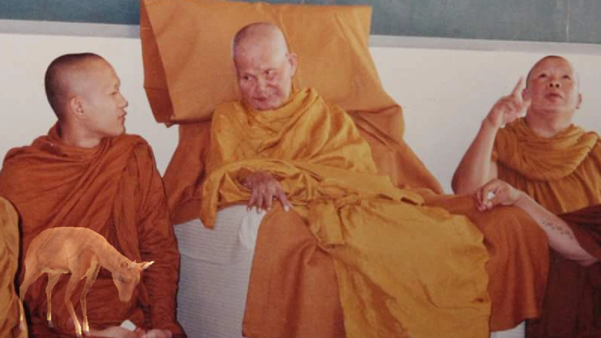 ภพชาติมีจริง!! กว่าจะมาเป็น “หลวงปู่ชอบ" พระกรรมฐานรูปสำคัญของเมืองไทยในชาตินี้ เคยเกิดเป็นเดรัจฉานมาสารพัดอย่างแล้ว #บันทึกระลึกชาติ