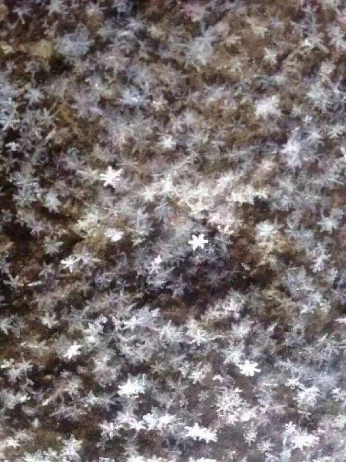 อัศจรรย์วินาทีบรรลุธรรม! พระอริยะ ร่างหดเล็กลงเรื่อยๆ จนกลายเป็นแสงรุ้ง แสดงปรากฏการณ์เหนือธรรมชาติ หลังจากการฝึกจิตขั้นสูง!!