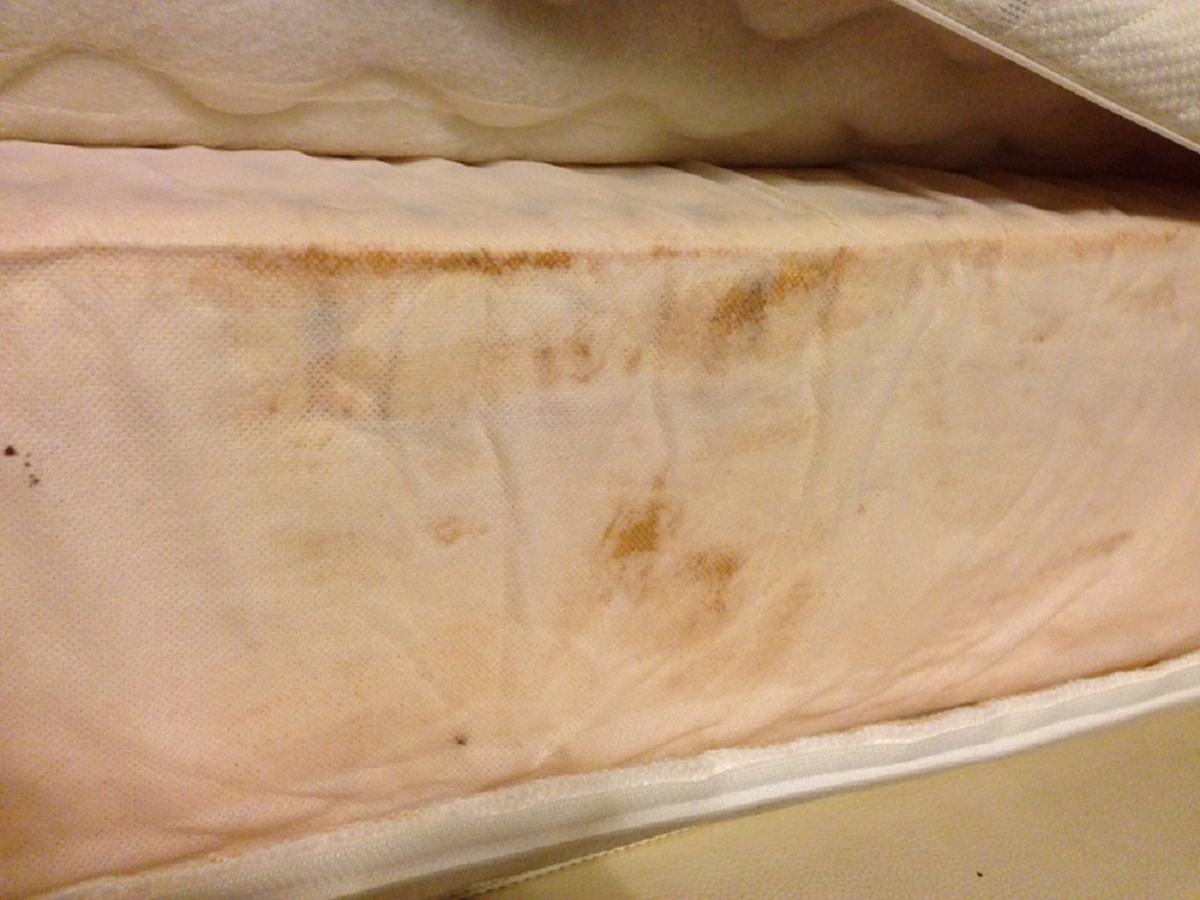 หามานาน!! วิธีกำจัดคราบและกลิ่นฉี่บนที่นอน ด้วยวิธีง่ายๆ คืนความขาวใหม่ให้กลับมาอีกครั้ง !!!