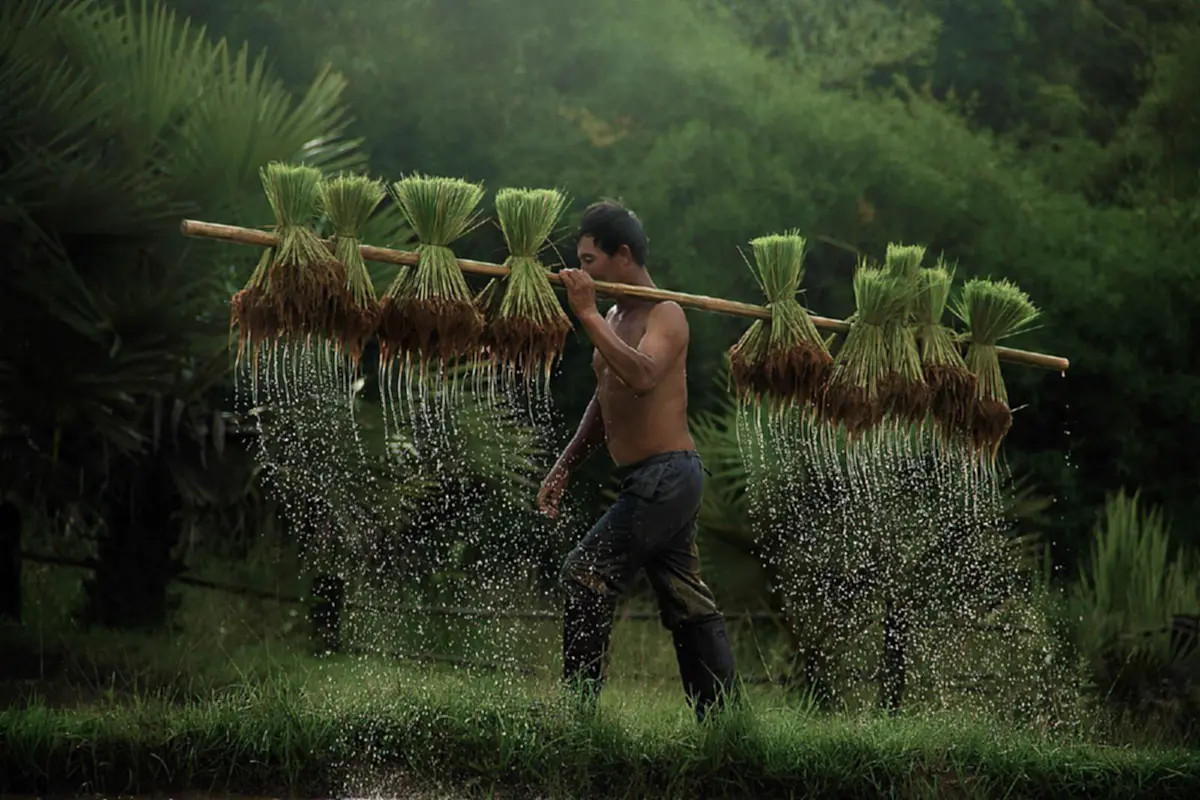 ข้อคิดดีๆ สำหรับที่ผู้อายุจะถึง 40 ปี หรือเกิน 40 ปีแล้ว