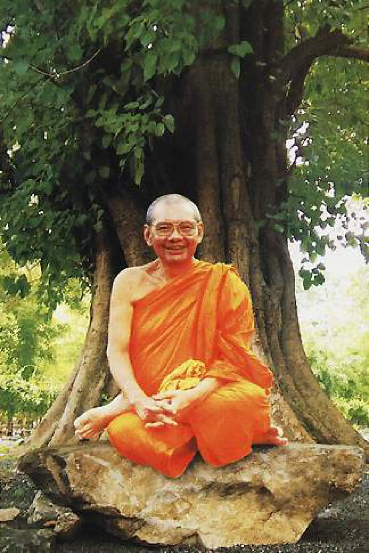 สาธุดังๆ..หลวงพ่อฤาษีลิงดำ เฉลยไว้ "ปลูกต้นไม้ในวัดจัดเป็นการสร้างวิหารทาน" ได้อานิสงส์มาก อย่าได้พึงมองข้ามเด็ดขาด.