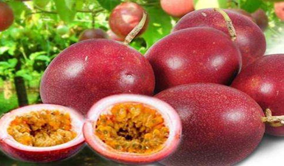 อยากหัวใจแข็งแรงต้องดู!!! 9 พืชสมุนไพรพื้นบ้านช่วยบำรุงหัวใจ ของดีๆที่อยู่ใกล้ตัวคุณ รู้แล้วรีบแชร์ด่วน