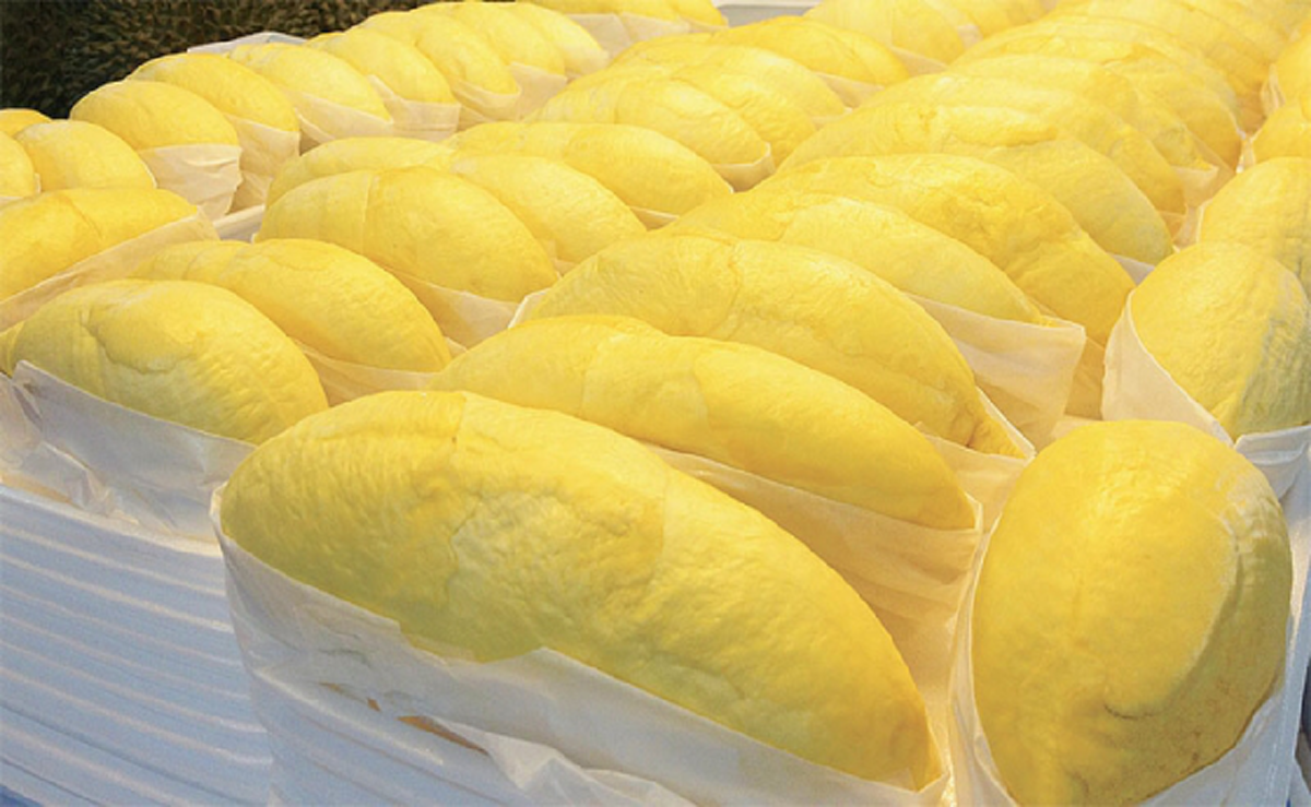 ไม่เกี่ยวกับรถกระบะ!!!  รมช.พาณิชย์หัวใสทาบทาม "หน้ากากทุเรียน" เป็นพรีเซนเตอร์ "แคมเปญทุเรียนไทย"