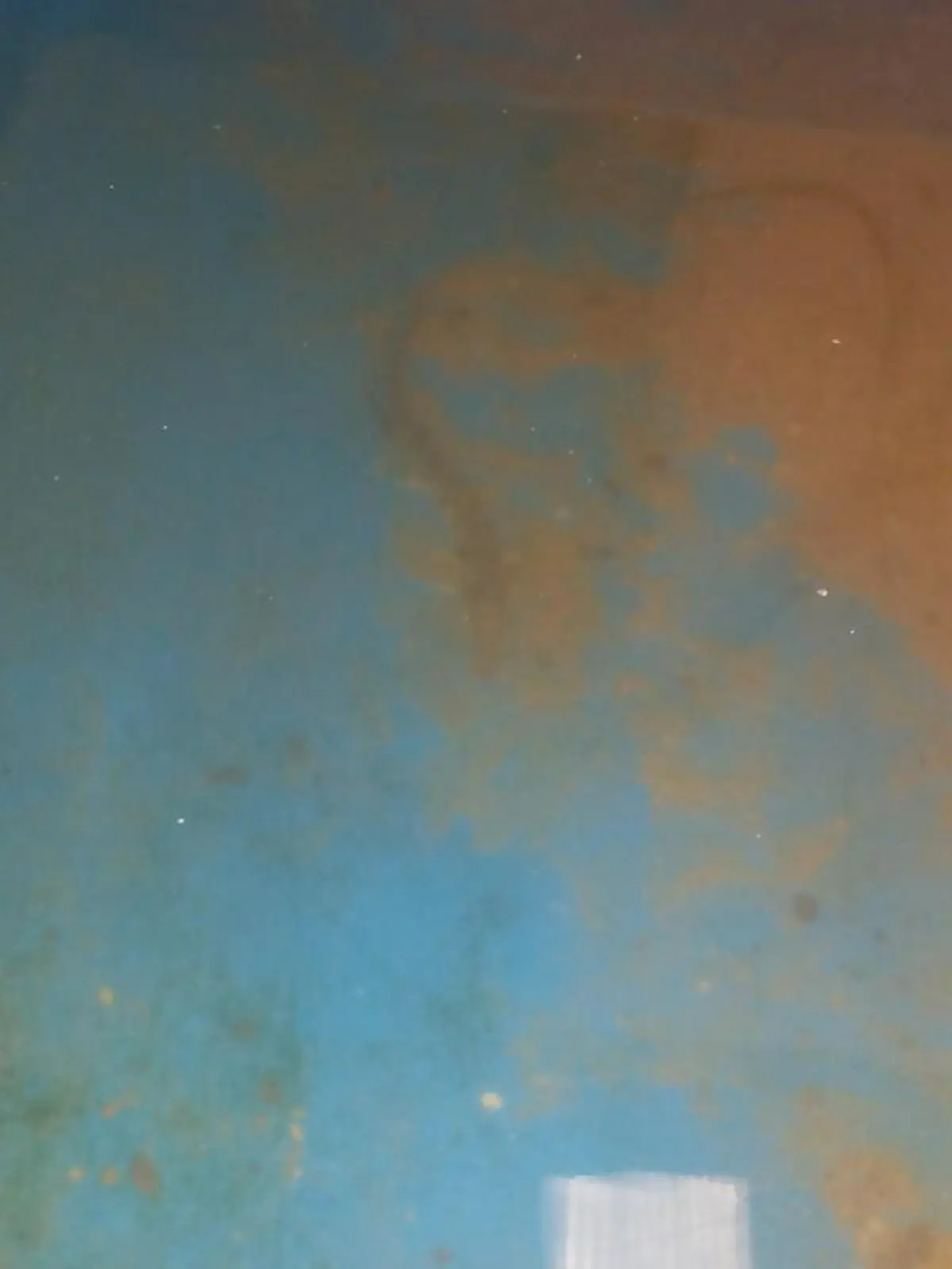 รู้จักสัตว์เศรษฐกิจตัวต่อไป "ปลารากกล้วย" เพาะพันธ์สำเร็จราคากิโลละ ครึ่งพัน