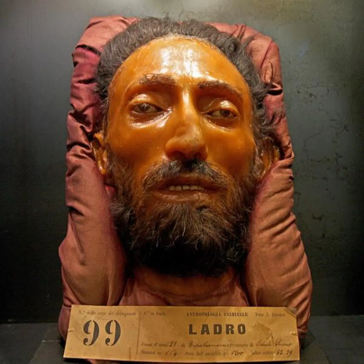 หลอนได้อีก!! พาชม..พิพิธภัณฑ์ชวนหลอน ที่รวบรวมเรื่องราวของเหล่าอาชญากรโดยใช้ทฤษฎีอาชญาวิทยา แถมมีโครงกระดูกของ "ผู้ก่อตั้ง" มาจัดแสดงด้วย !!