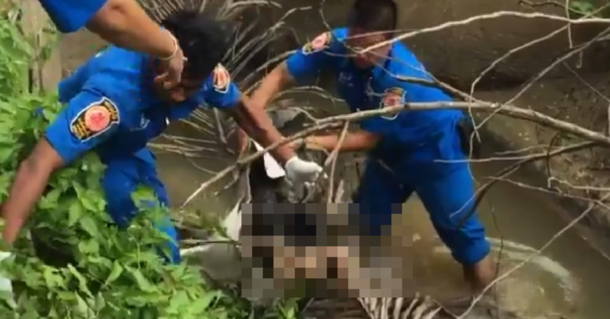 โหดร้ายสุดๆ !!ตร.พบร่องรอยสำคัญบนชิ้นส่วนเสื้อผ้า-รองเท้าข้างศพ "น้องโอ๊ต" หลังหายตัวโดนอุ้มฆ่า คาดสาเหตุสลดทำสิ้นใจตาย?