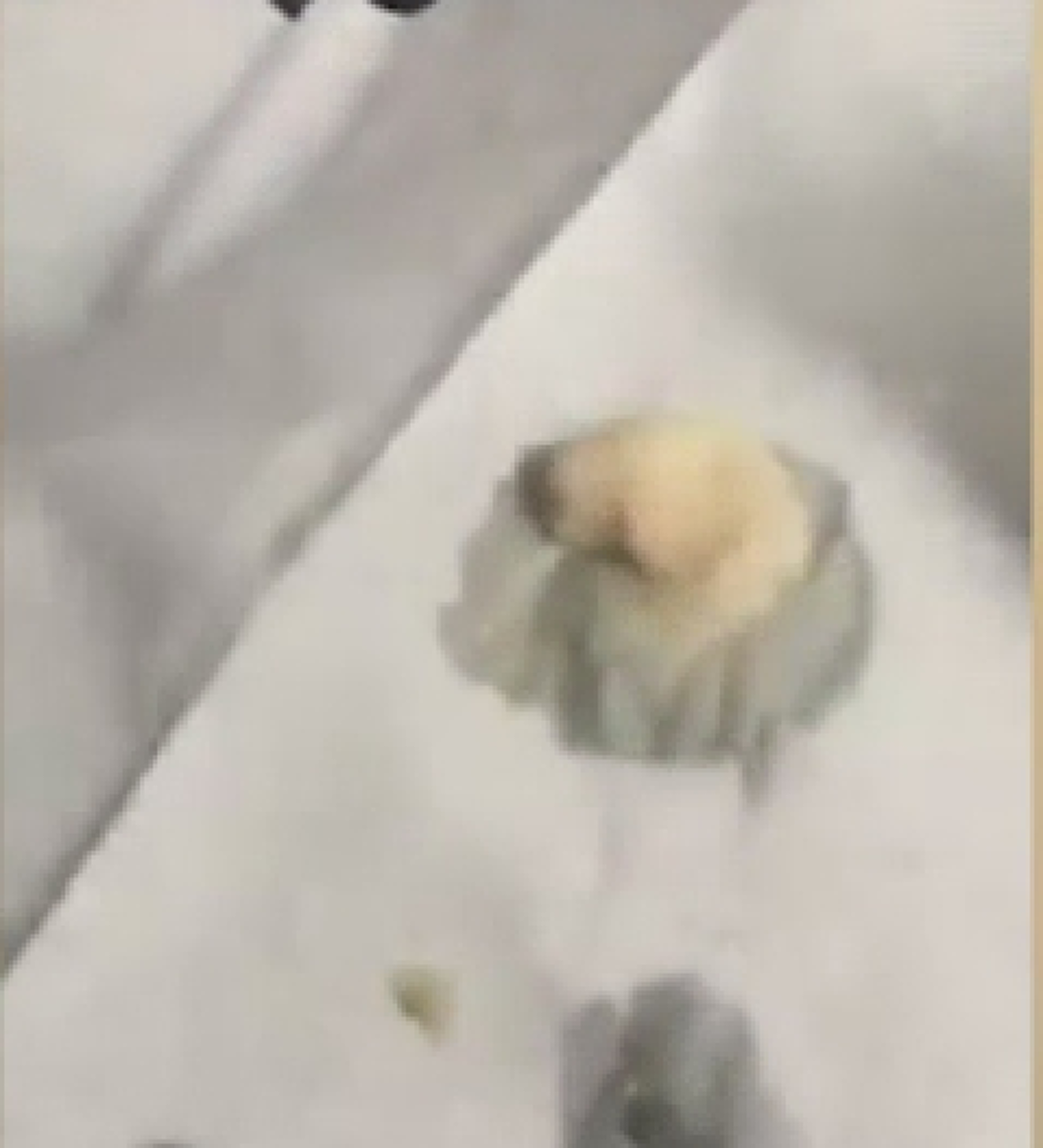 เห็นอย่างนี้แล้ว จะกล้าซื้อกินอีกไหม?! อ้วกแทบพุ่ง สั่งกาแฟ แต่กลับได้ สิ่งนี้แถมมาด้วย