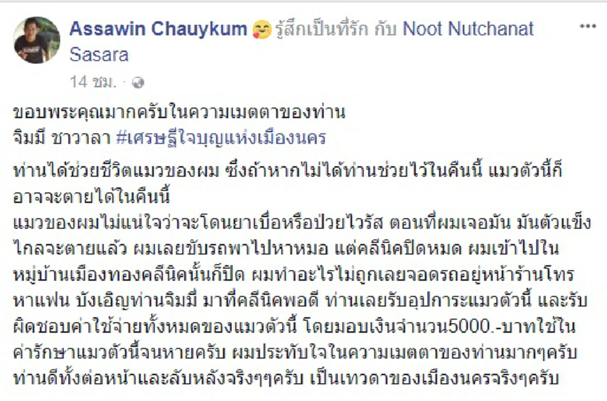 ต่อชีวิตน้อยๆ!!หนุ่มหอบแมวป่วยโคม่าโร่หาหมอทั่วเมืองจนสิ้นหวังแต่แล้วแสงสว่างที่ปลายอุโมงค์ก็ส่องมาเมื่อเจอ#เศรษฐีใจบุญแห่งเมืองนคร