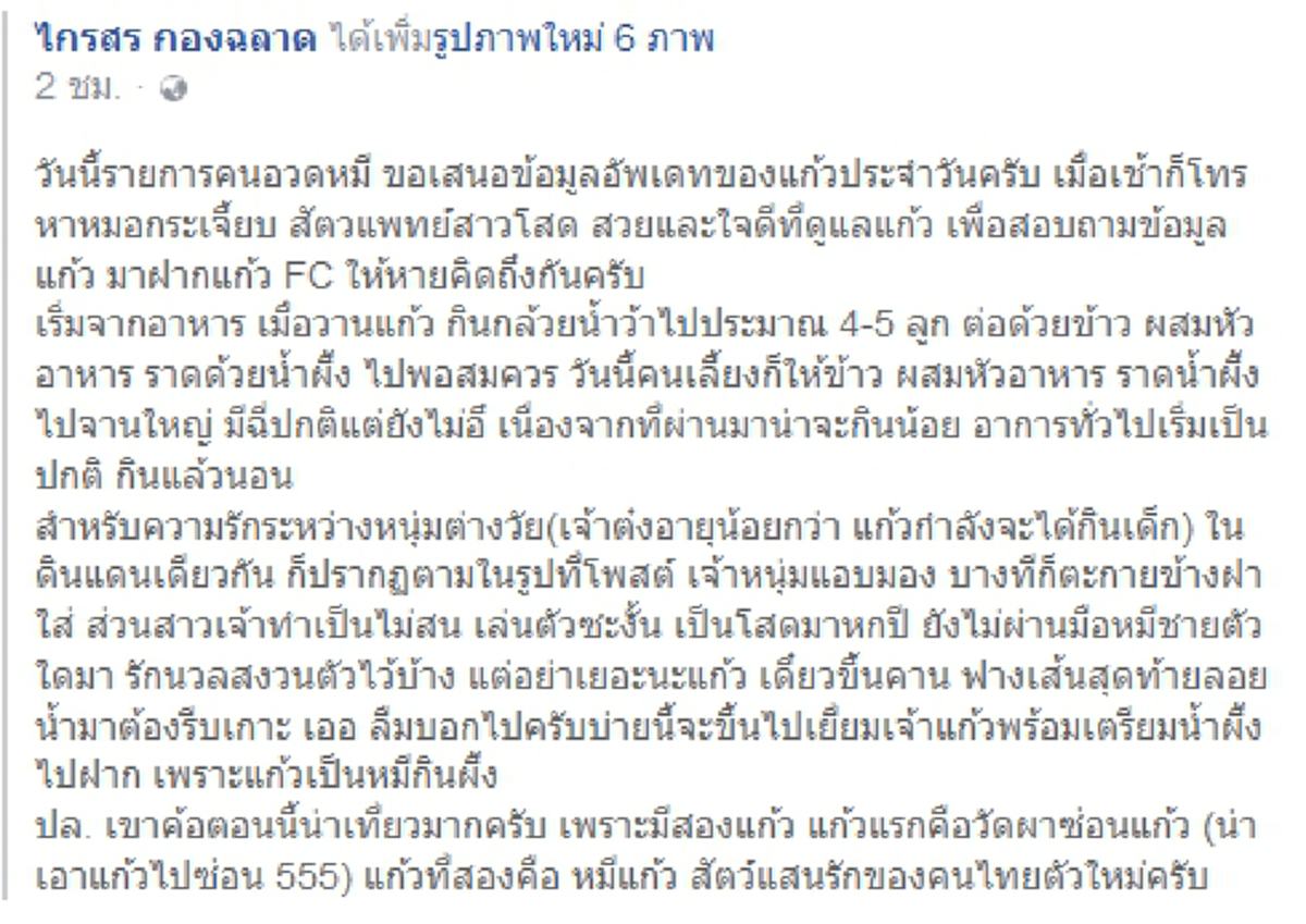 เหมือนเกิดใหม่อีกครั้ง "เจ้าแก้ว" อดีตหมีโหดกระชากคนไปกัด หลังโดนชาวบ้านทำร้าย ล่าสุดอาการดีขึ้น พร้อมหัวใจพองโตอีกครั้ง